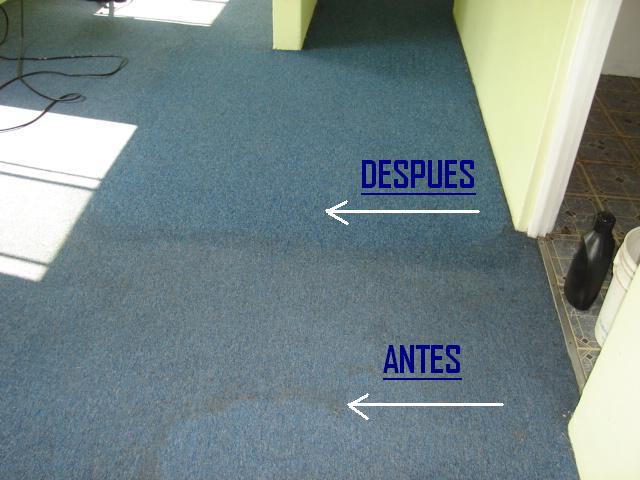 Limpieza de Alfombras, El Angel Servicios.