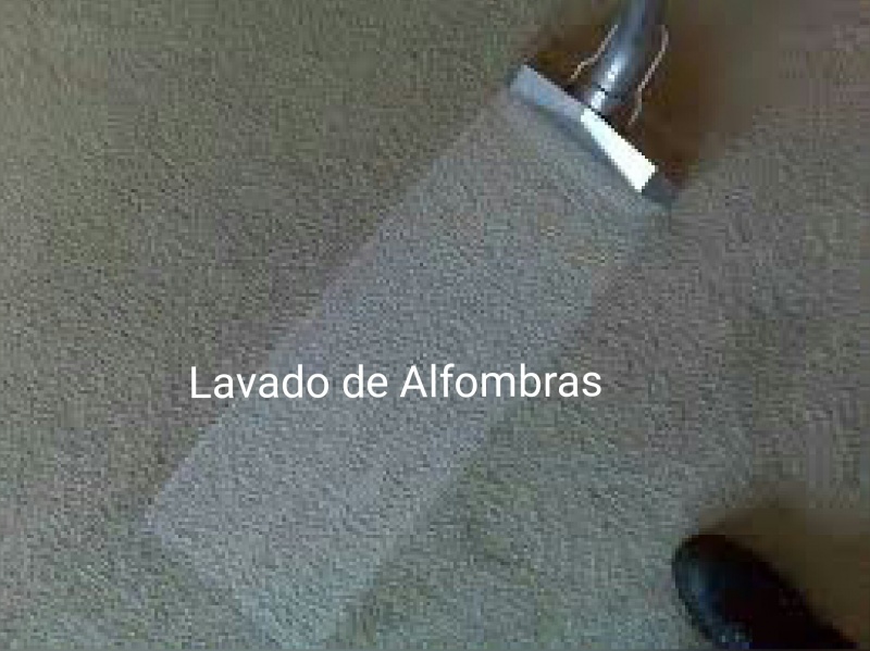 LAVADO DE ALFOMBRAS, MEXICO DF_ EL ANGEL SERVICIOS