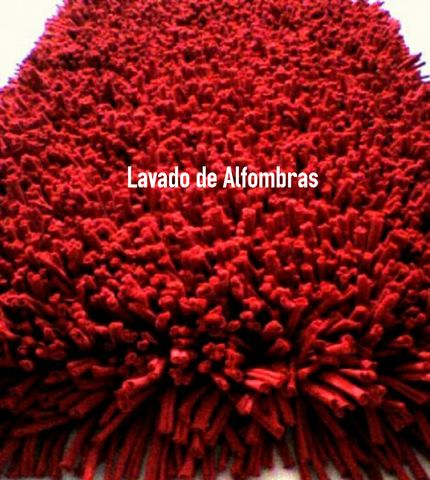 LAVADO DE TAPETES todo tipo a domicilio.