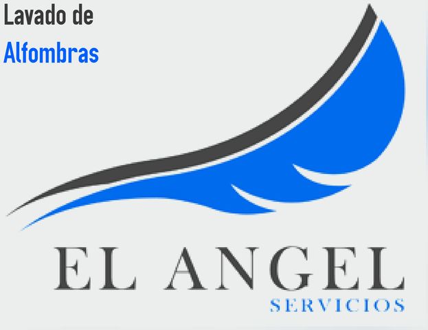 EL ANGEL SERVICIOS Realiza Lavado de Alfombras, Tapetes, Salas y Muebles de  Tela a Domicilio. Mexico DF.