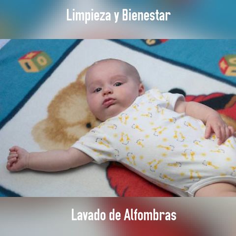 Al Realizar su Lavado de Alfombra Obtendrá limpieza y bienestar.